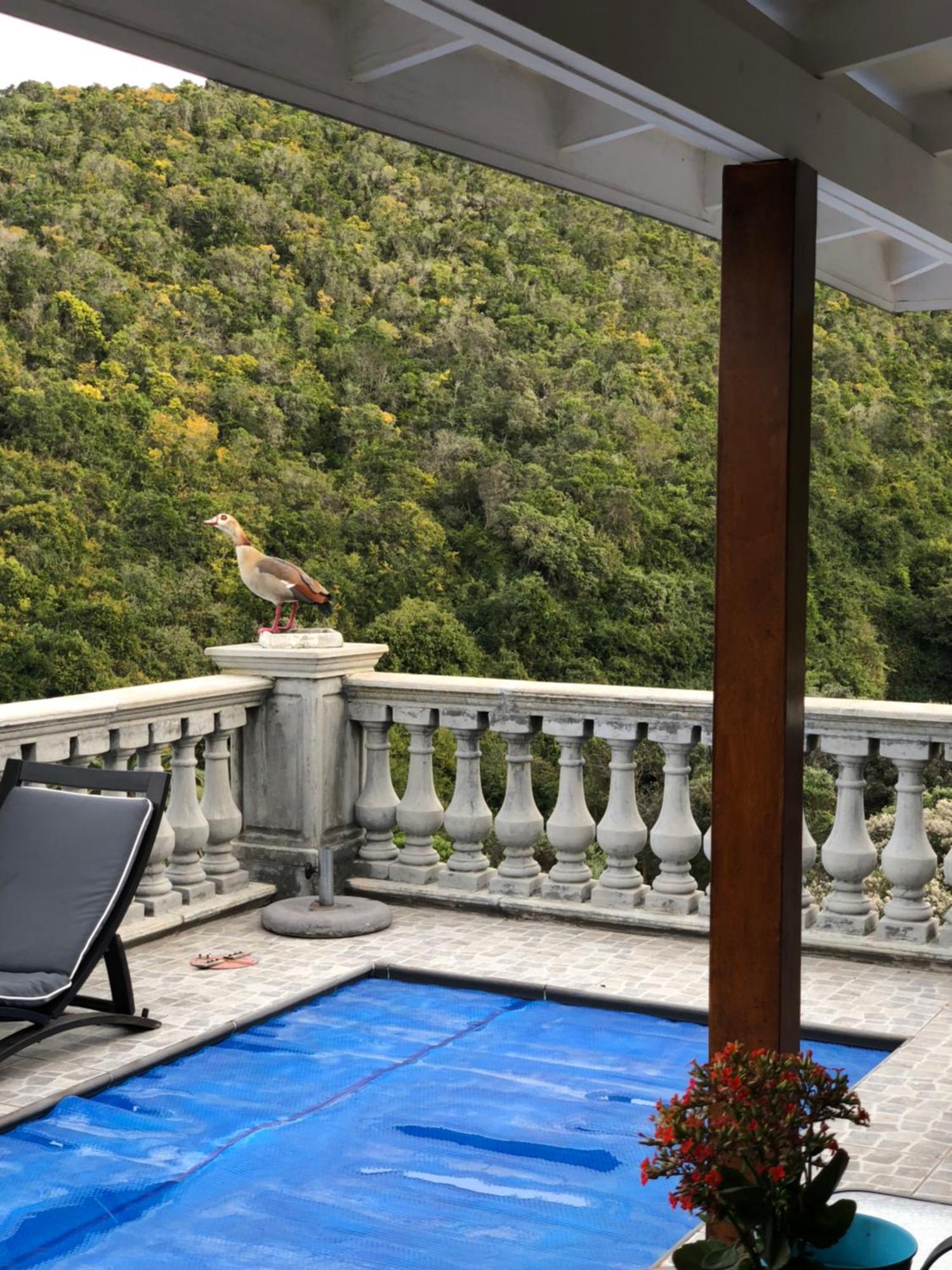Livingstone Villa Wilderness Exterior foto
